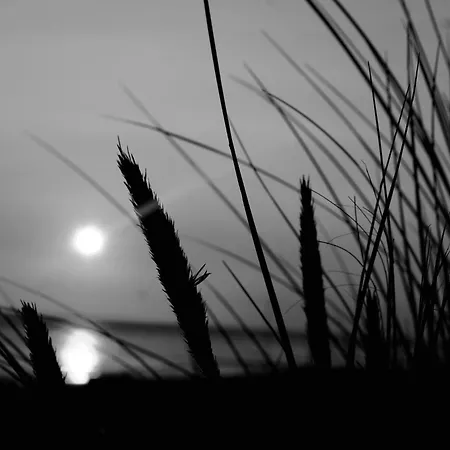 Domizil Am Siel Ferienhaus *