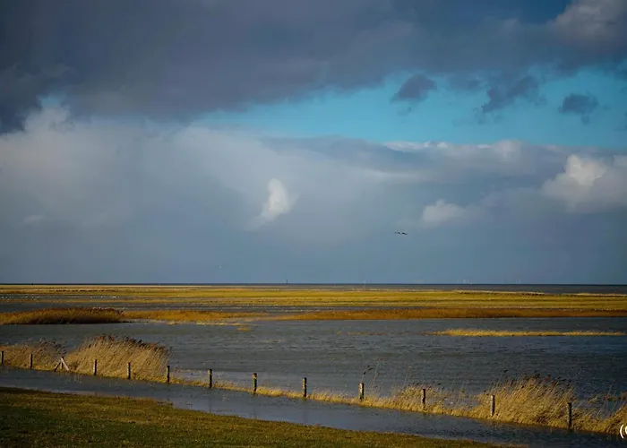 Domizil Am Siel Nyaraló